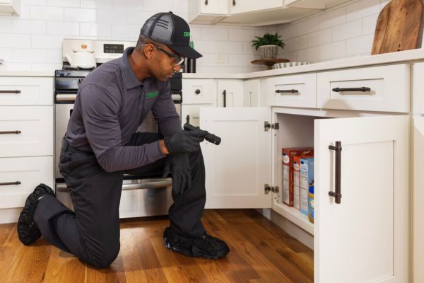 treatment - ant control dust