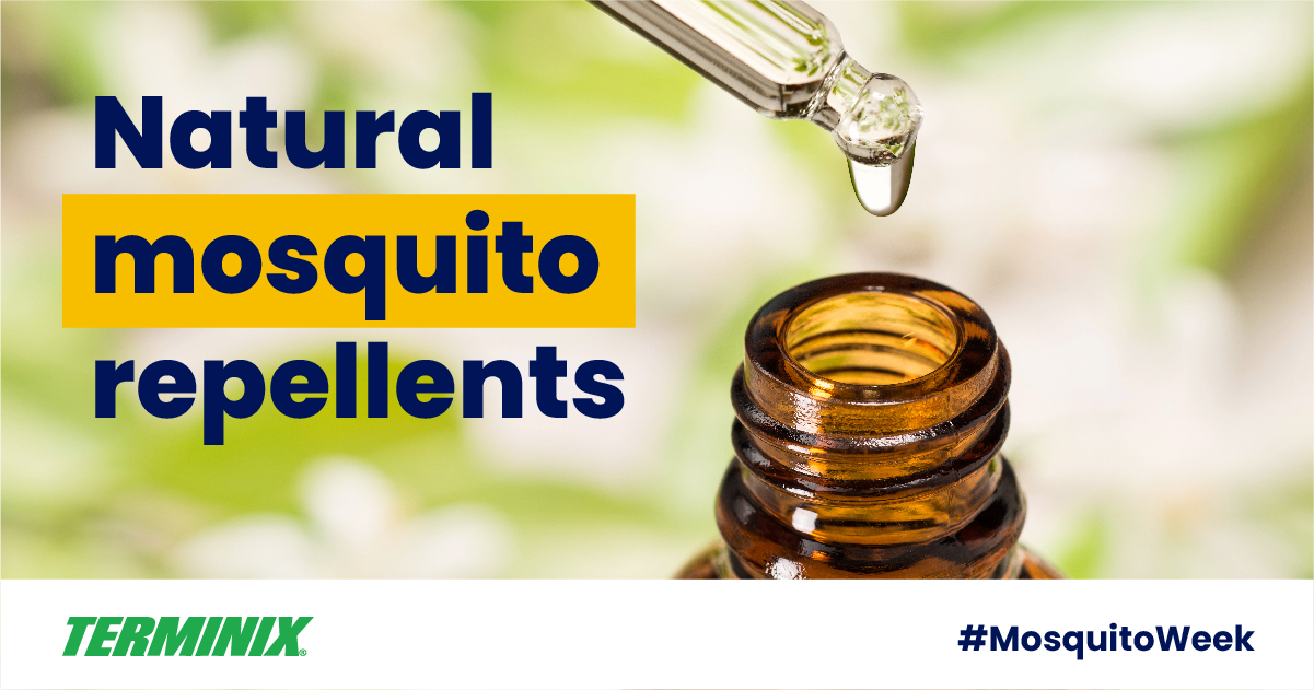 natural-mosquito-repellent