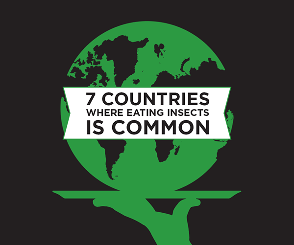 eating insects countries