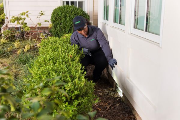 technician surveying