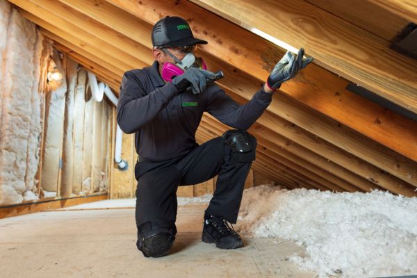 technician surveying attic