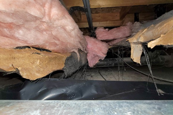 attic damage