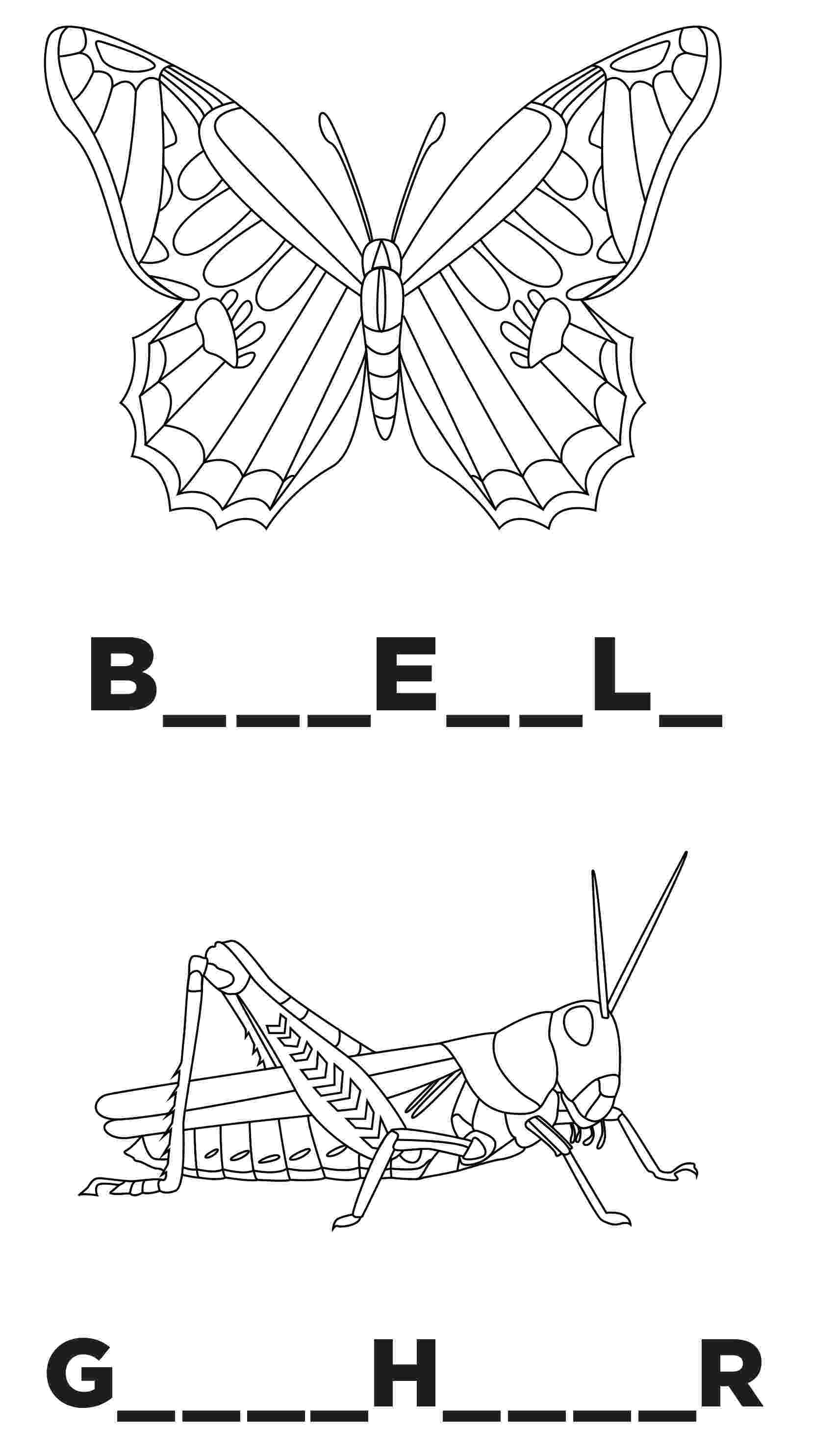 butterfly and grasshopper coloring page