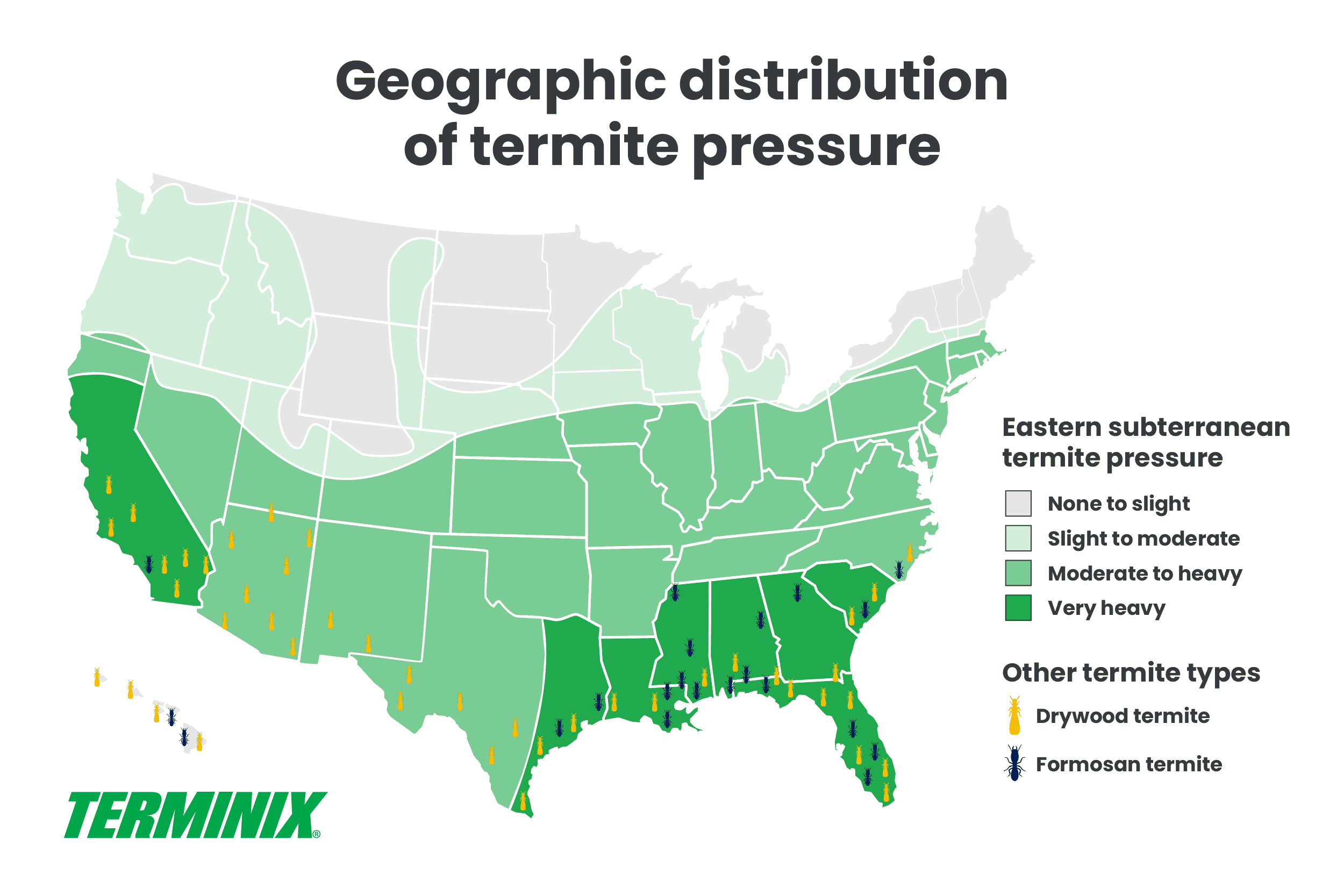 Map of where termites are found