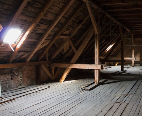 mosquito breeding grounds