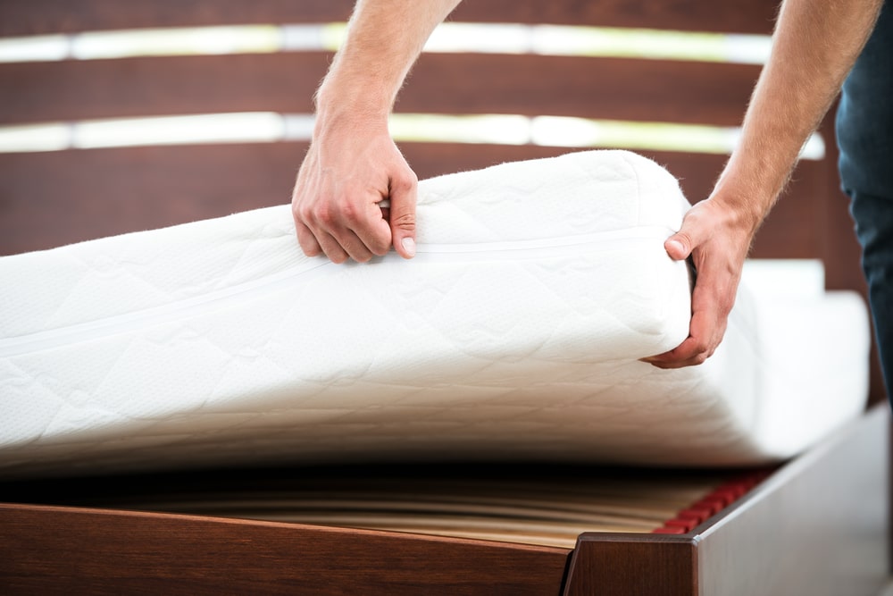 bed bug encasements