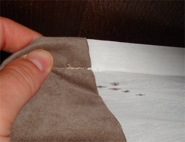 chemical signs of bed bugs