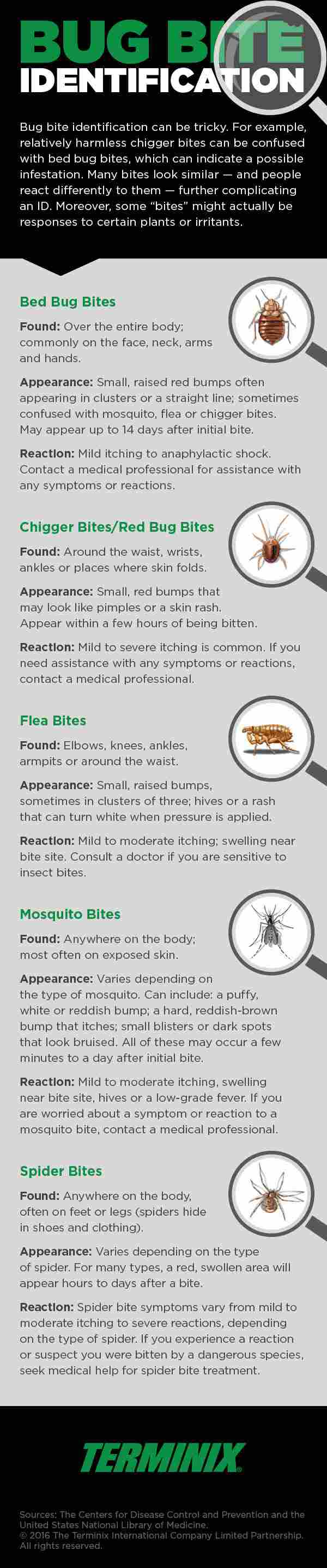 bug bite ID infographic