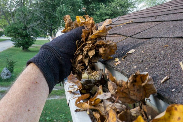 homeowner getting dry leaves out of a gutter