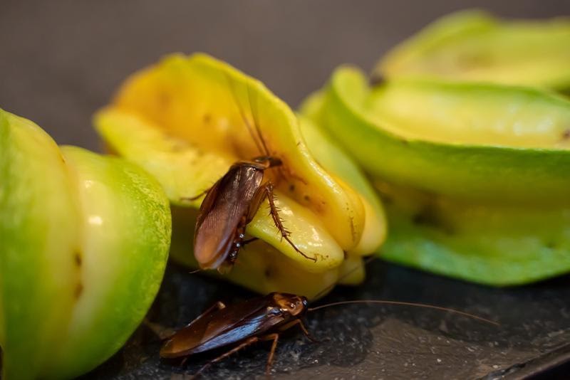 clothes in retail store