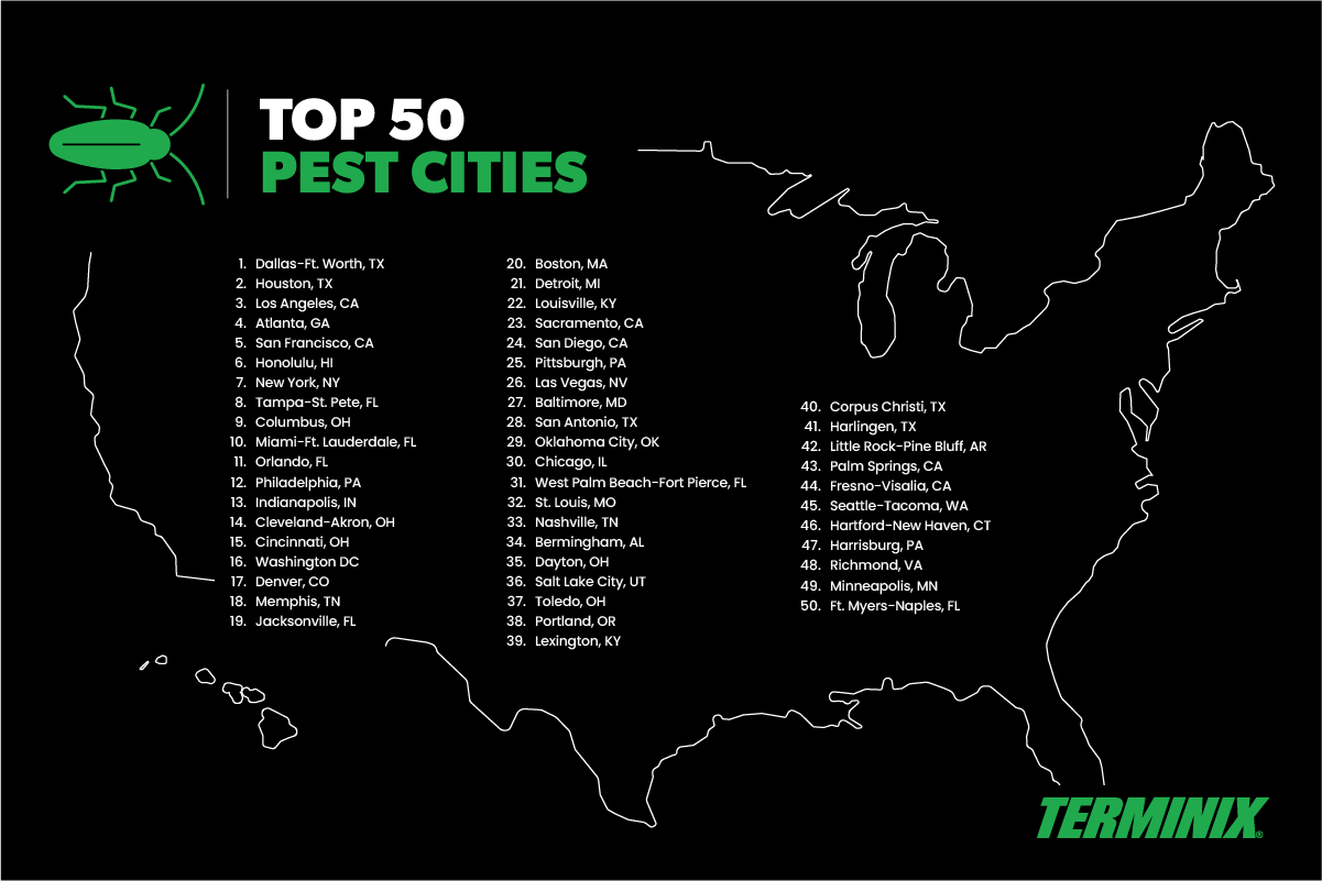 list of top pest cities