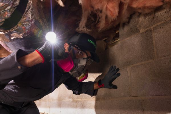 crawl space terminix