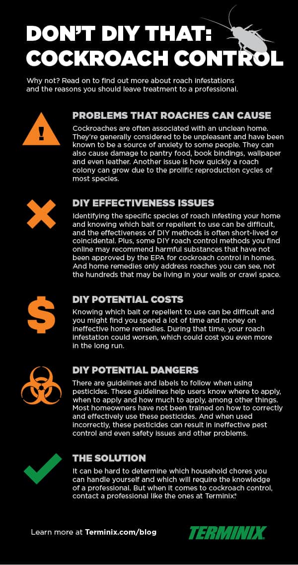 how to get rid of roaches