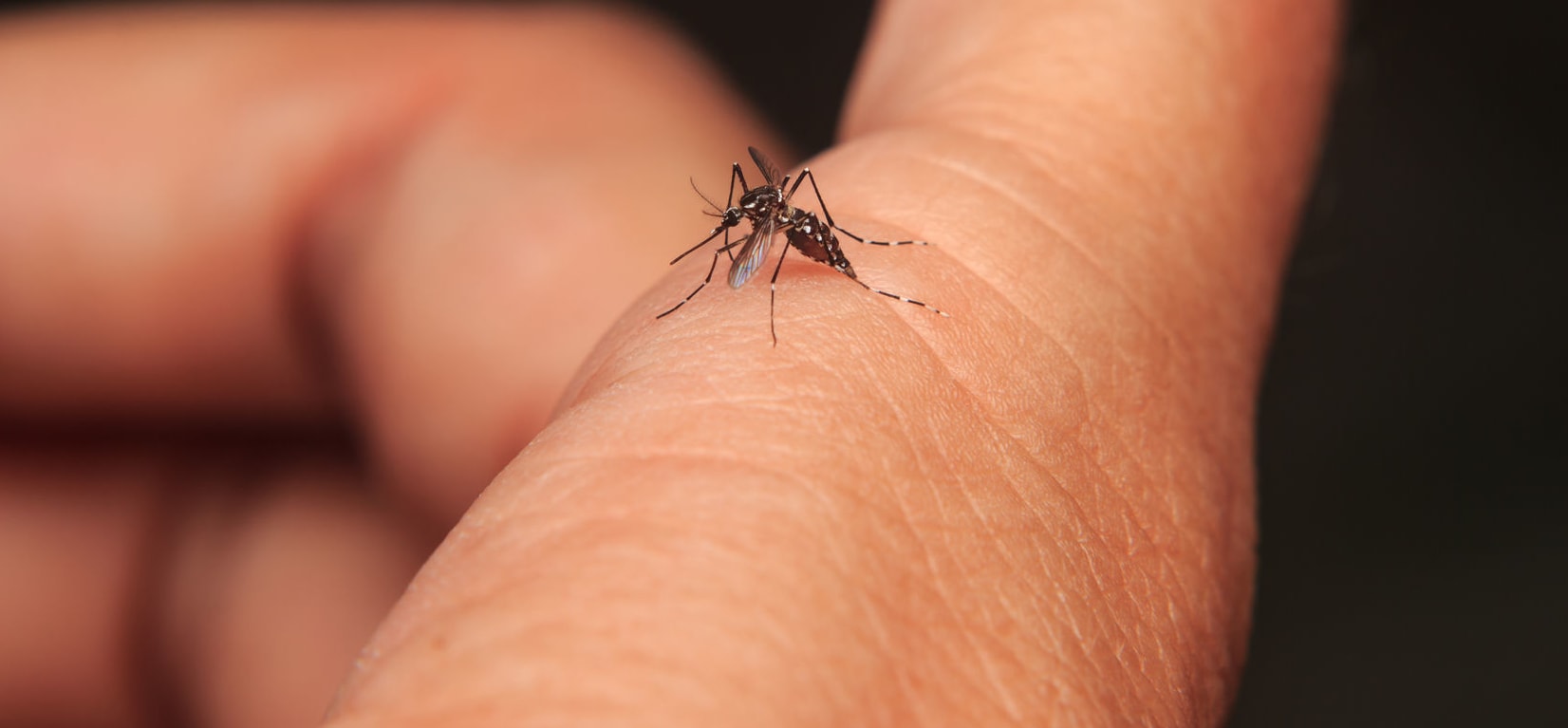 mosquito-bite-finger