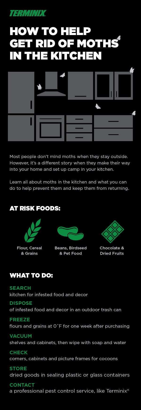 help get rid of moths