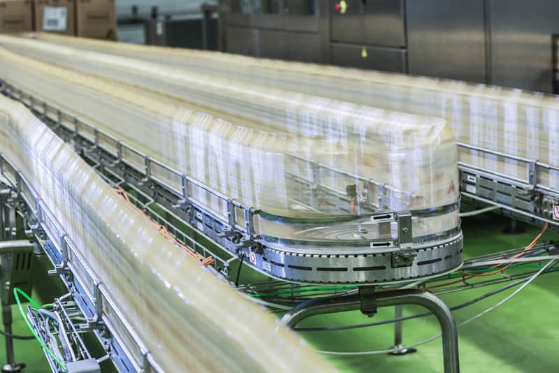 Signs of Pest Infestations in Your Food Processing Facility