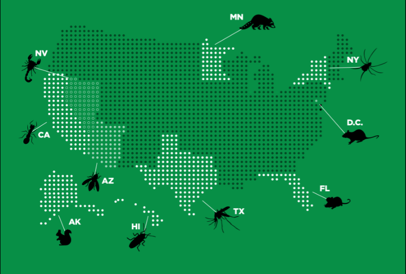 pestiest-state-in-us