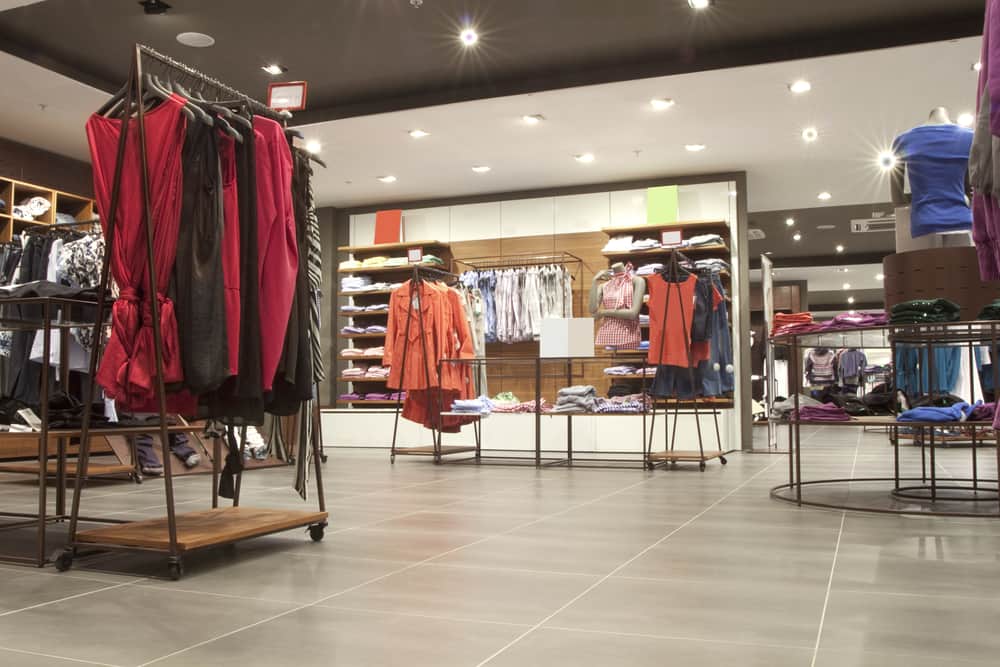 Which Types of Pests Can Damage Clothes in Your Store?