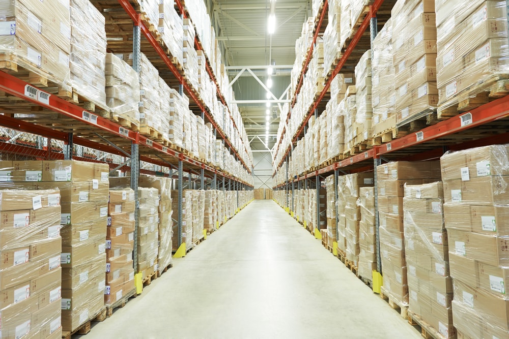 pests-that-threaten-your-warehouse