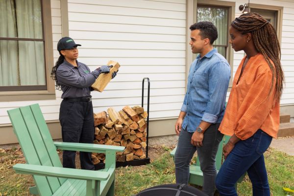 termite wood inspection