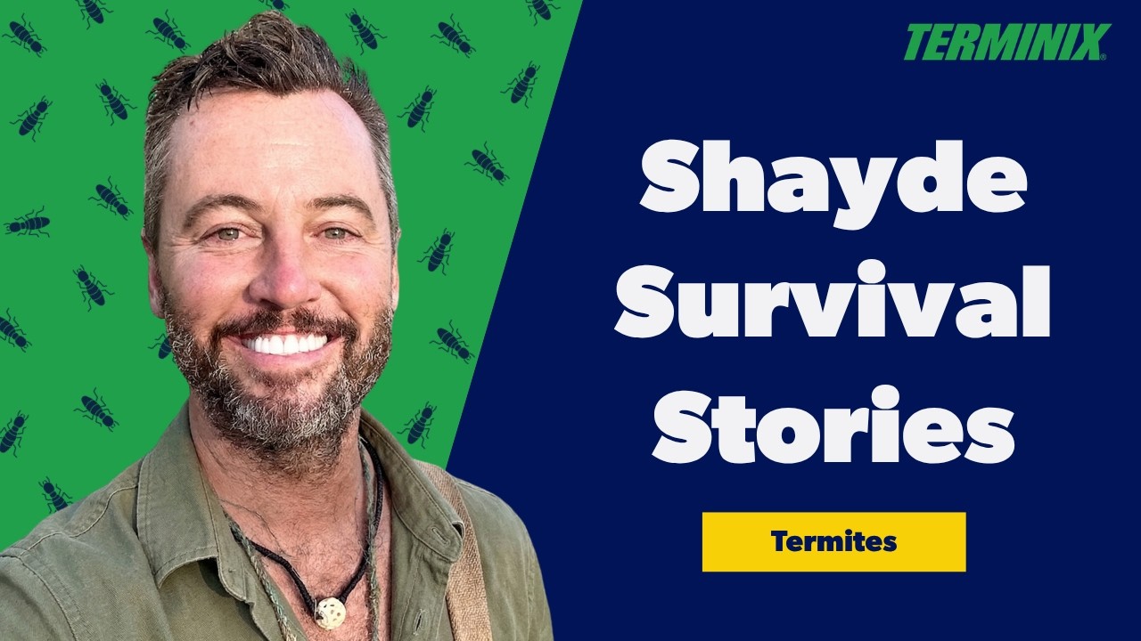 Andrew Shayde survival stories - Termites