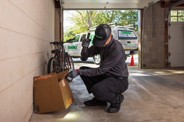 tmx home inspection cardboard