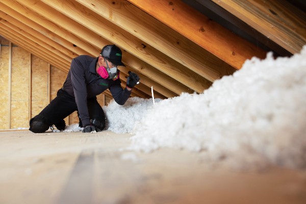 Terminix tech attic insulation
