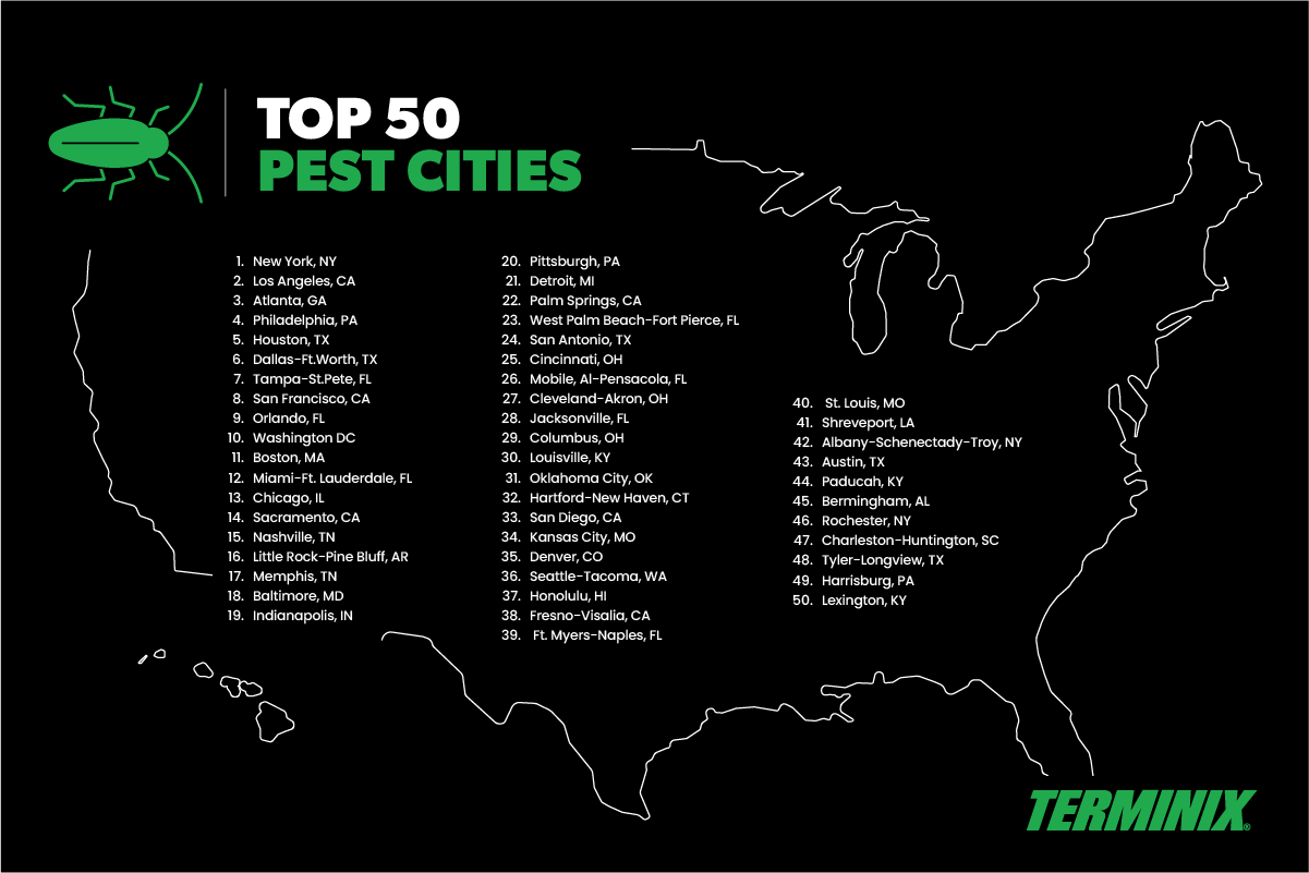 Top 50 pest cities list