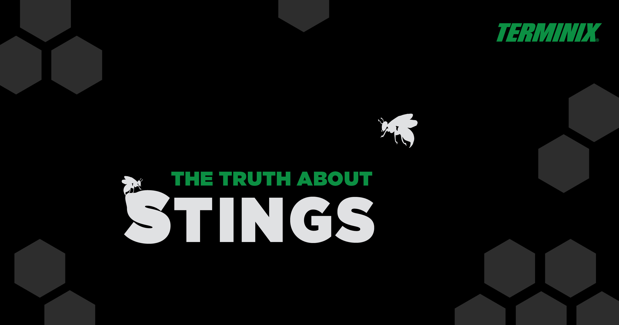 truth-about-pest-stings