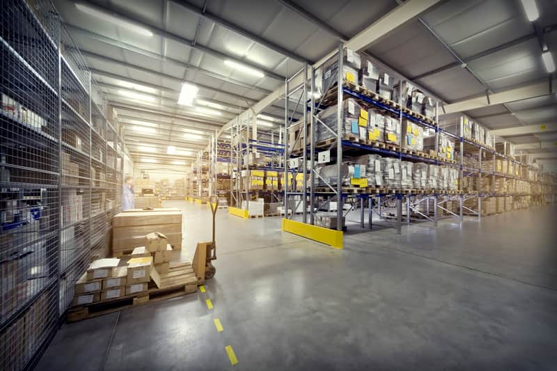 What Are Some Common Pests Found In Warehouses?