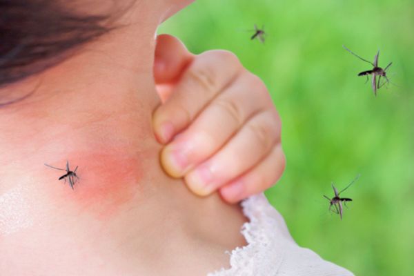 mosquitoes biting a person's neck