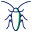 Home_button_cockroach_icon
