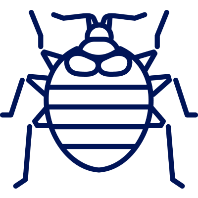bed bug icon