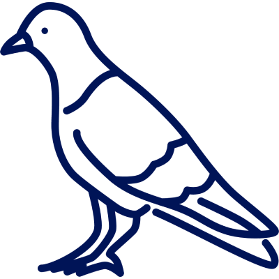 bird control icon