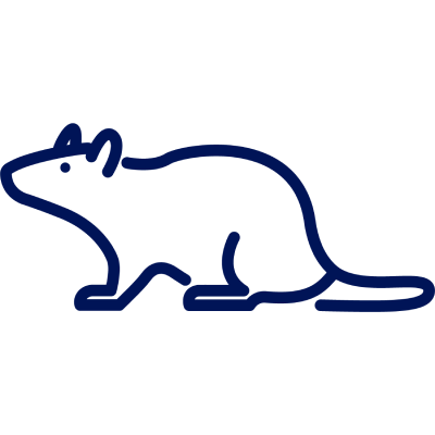 rodent control icon