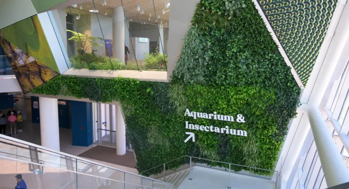 Ambius green wall design at the Audubon Aquarium