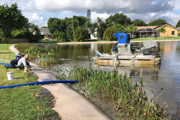 Sox erosion control