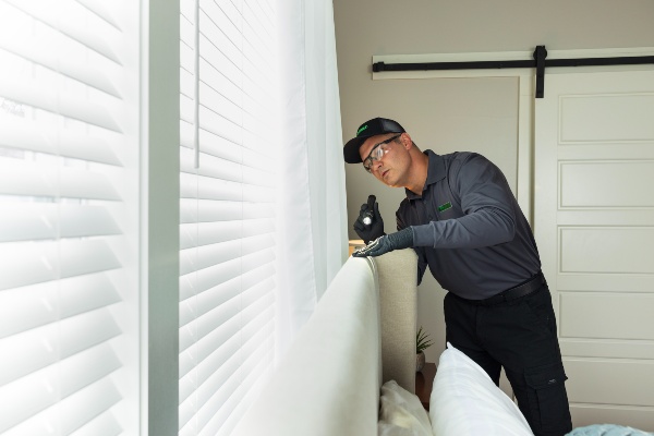 Terminix technician checking for bed bugs