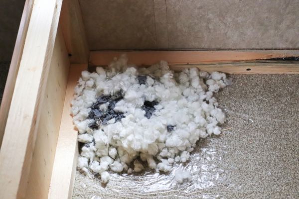 mouse nest in attic