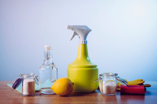 fleas sprays treatment