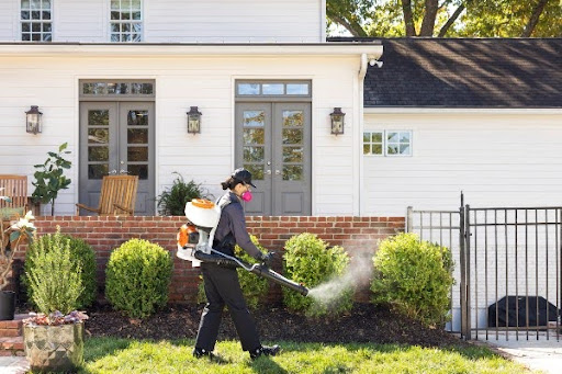 mosquito and tick protection