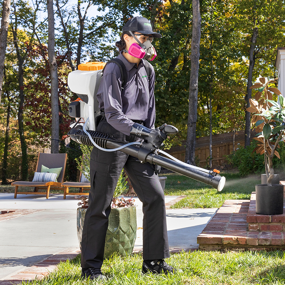 mosquito control