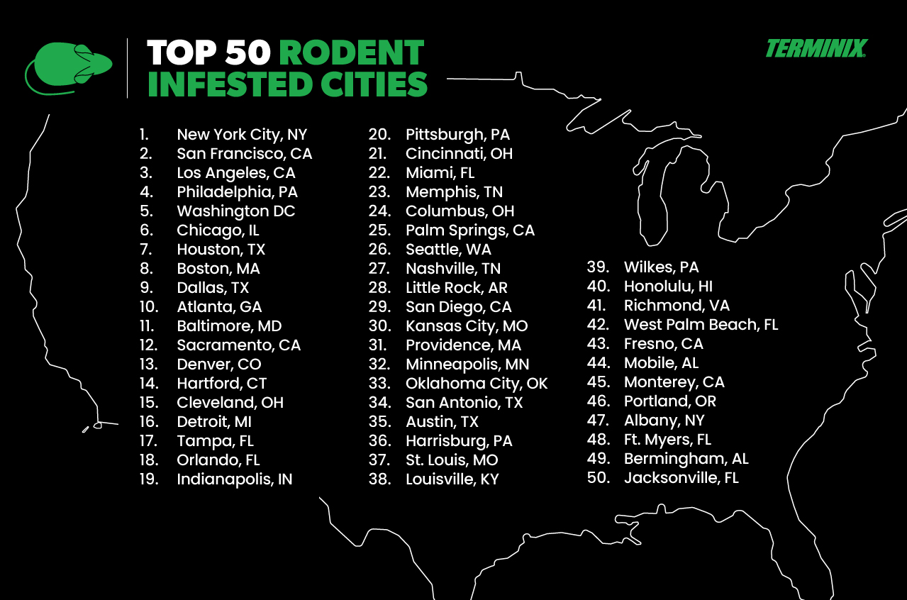 top rodent infested cities