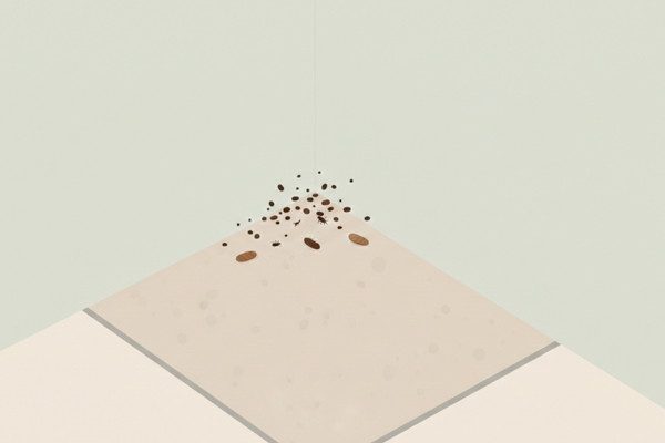 Cockroach droppings