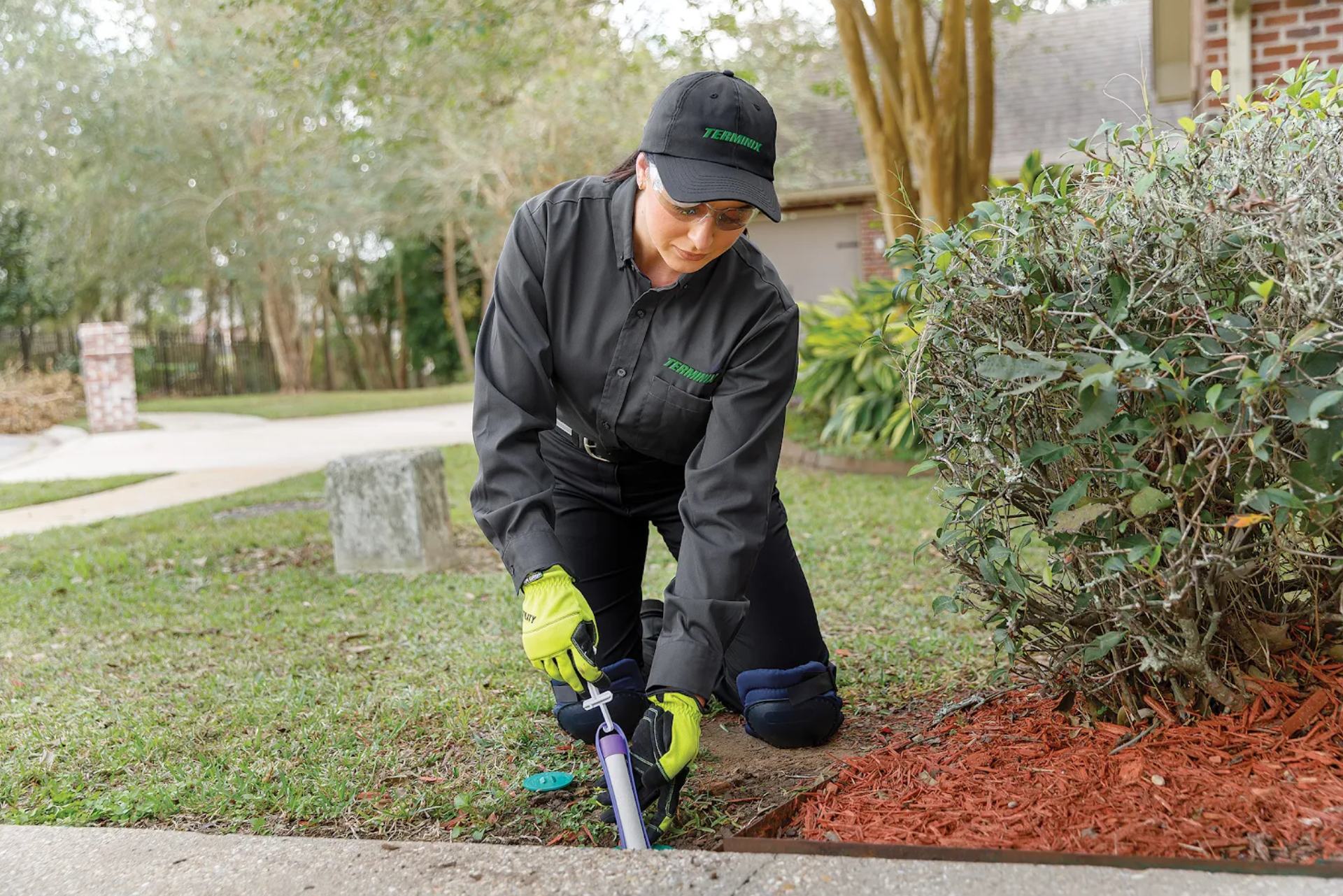Terminix termite technician