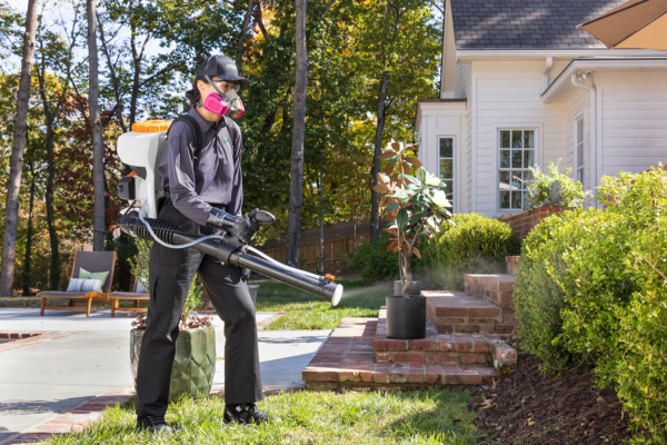 mosquito control spray by technician