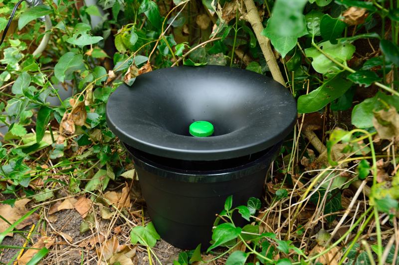 mosquito breeding treatment