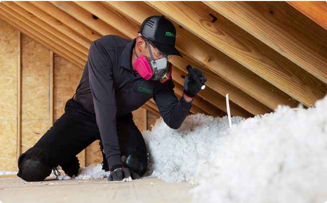 Terminix technician examining attic insulation