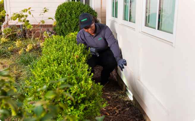 Terminix technician examining side of house