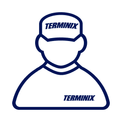 TMX Technician